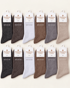Assortiment de douze chaussettes pailletées Rêveuse en six coloris sur fond ivoire