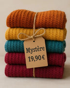 Pull Mystère femme Mam’s Ailes du 36 au 52 à 19,90 euros